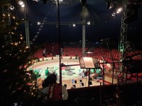 Junger-Chor-Konzert-Circus-Probst-28.11.21-96